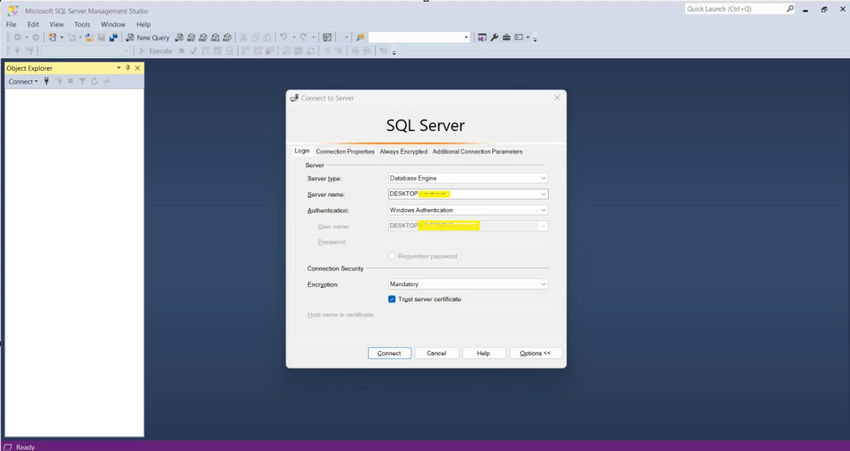 SQL Server Management